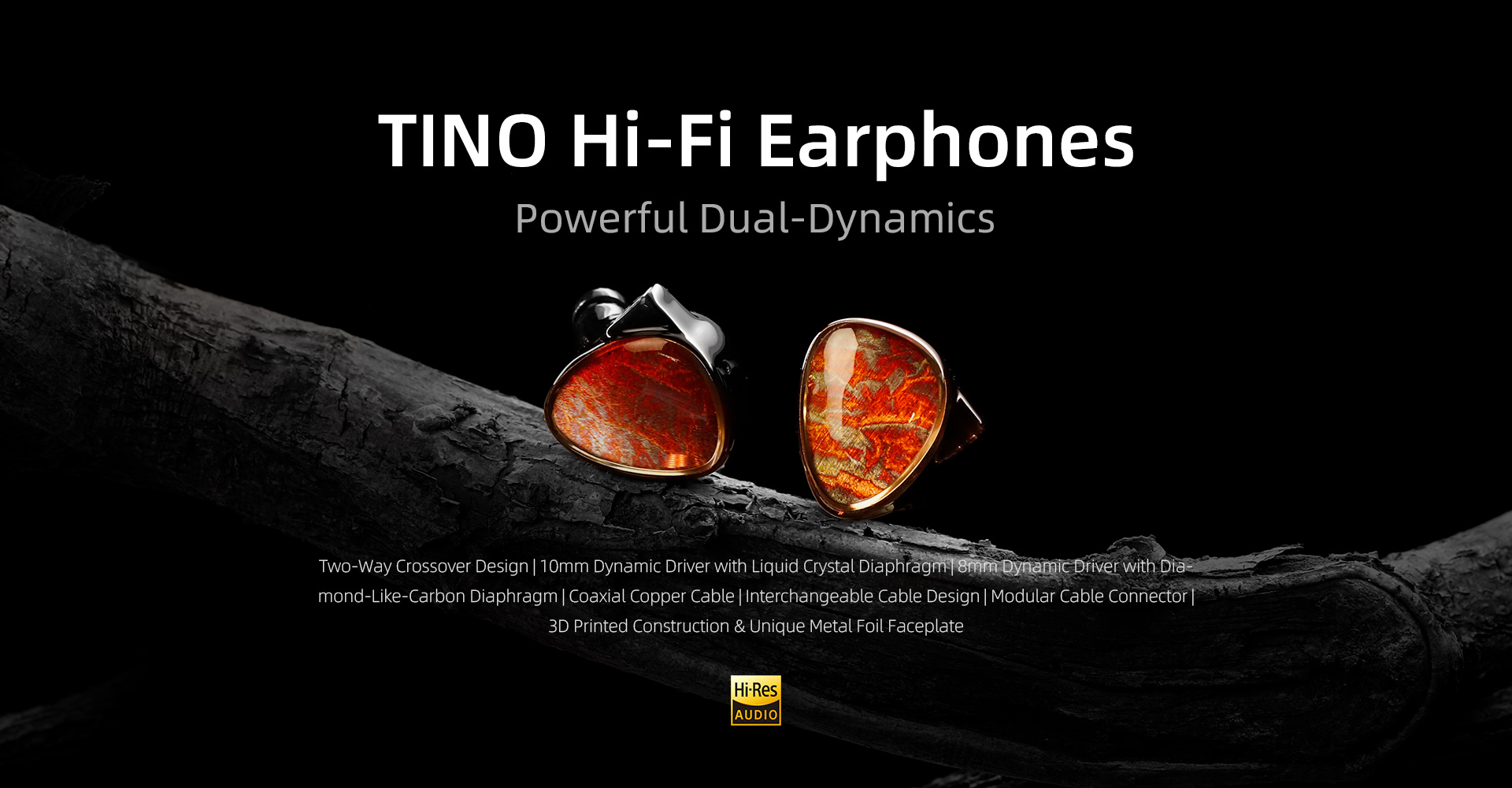 TINO-1.jpg