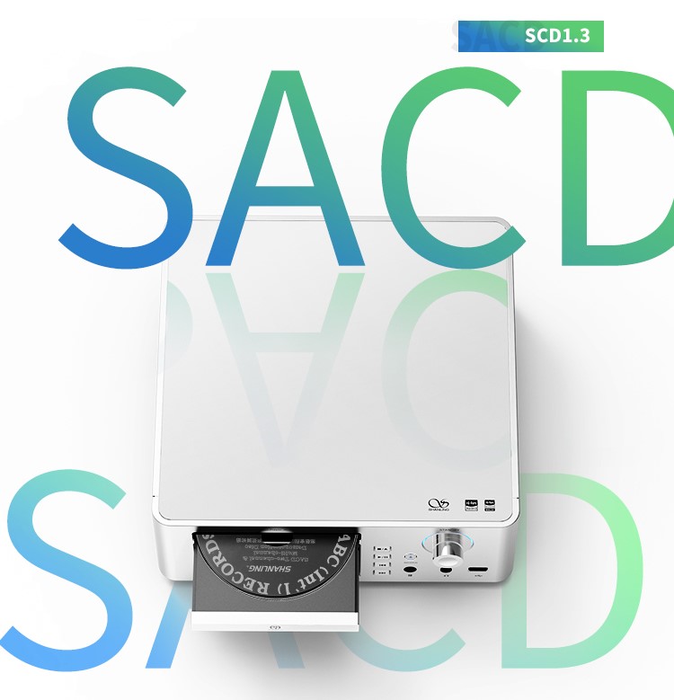 SCD1_03.jpg